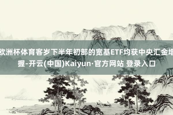 欧洲杯体育客岁下半年初部的宽基ETF均获中央汇金增握-开云(中国)Kaiyun·官方网站 登录入口