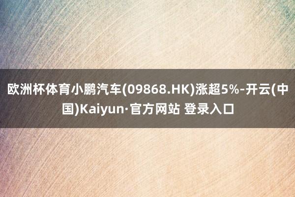 欧洲杯体育小鹏汽车(09868.HK)涨超5%-开云(中国)Kaiyun·官方网站 登录入口