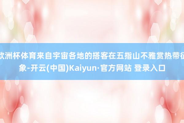欧洲杯体育来自宇宙各地的搭客在五指山不雅赏热带征象-开云(中国)Kaiyun·官方网站 登录入口