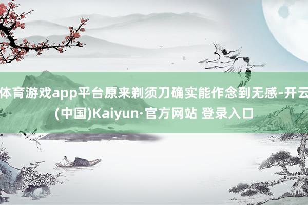 体育游戏app平台原来剃须刀确实能作念到无感-开云(中国)Kaiyun·官方网站 登录入口