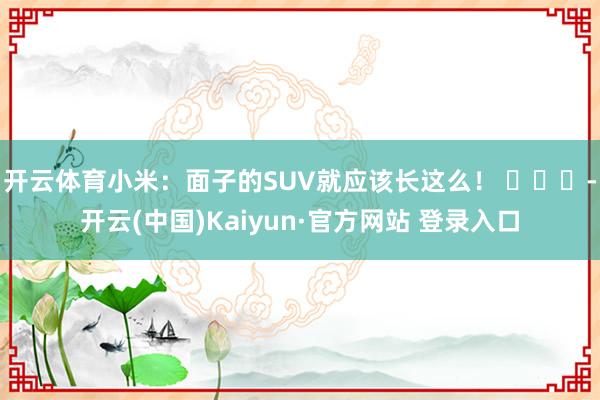 开云体育小米：面子的SUV就应该长这么！ ​​​-开云(中国)Kaiyun·官方网站 登录入口
