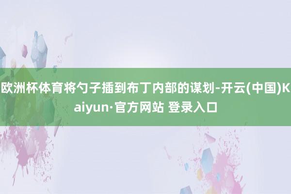 欧洲杯体育将勺子插到布丁内部的谋划-开云(中国)Kaiyun·官方网站 登录入口
