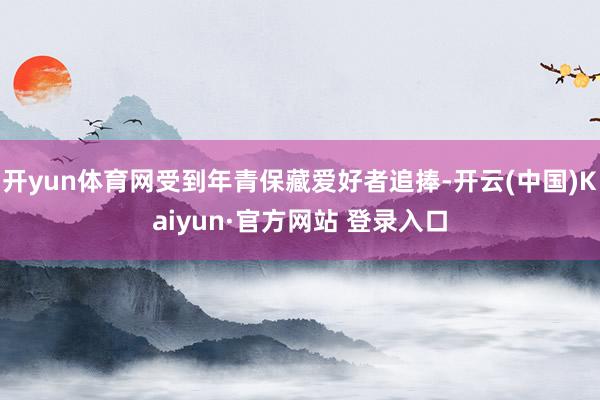 开yun体育网受到年青保藏爱好者追捧-开云(中国)Kaiyun·官方网站 登录入口