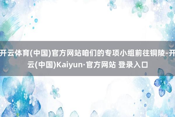 开云体育(中国)官方网站咱们的专项小组前往铜陵-开云(中国)Kaiyun·官方网站 登录入口
