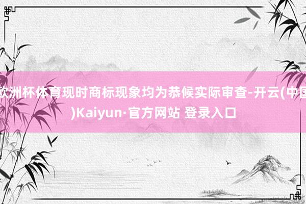 欧洲杯体育现时商标现象均为恭候实际审查-开云(中国)Kaiyun·官方网站 登录入口