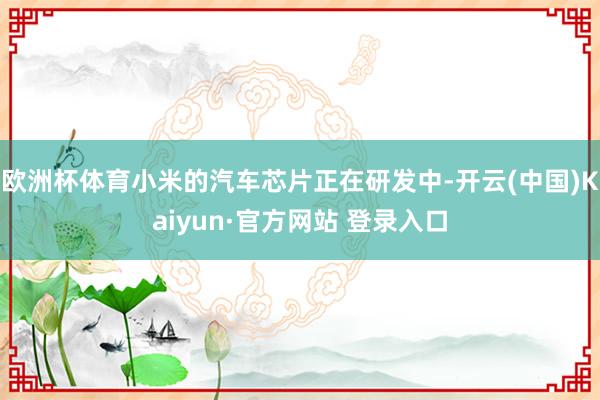 欧洲杯体育小米的汽车芯片正在研发中-开云(中国)Kaiyun·官方网站 登录入口