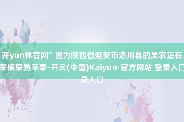 开yun体育网”　　图为陕西省延安市洛川县的果农正在采摘早熟苹果-开云(中国)Kaiyun·官方网站 登录入口