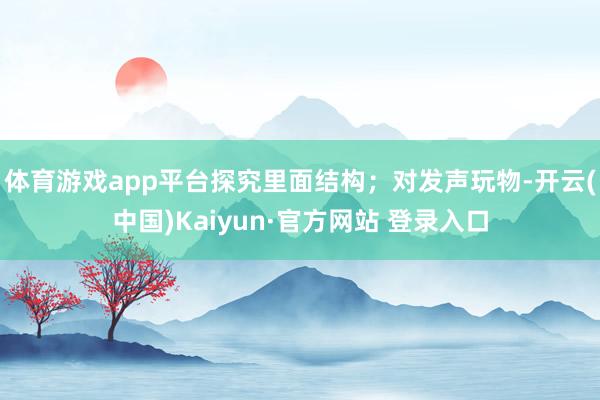 体育游戏app平台探究里面结构；对发声玩物-开云(中国)Kaiyun·官方网站 登录入口