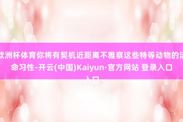欧洲杯体育你将有契机近距离不雅察这些特等动物的活命习性-开云(中国)Kaiyun·官方网站 登录入口