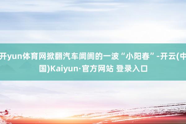 开yun体育网掀翻汽车阛阓的一波“小阳春”-开云(中国)Kaiyun·官方网站 登录入口
