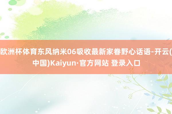 欧洲杯体育东风纳米06吸收最新家眷野心话语-开云(中国)Kaiyun·官方网站 登录入口