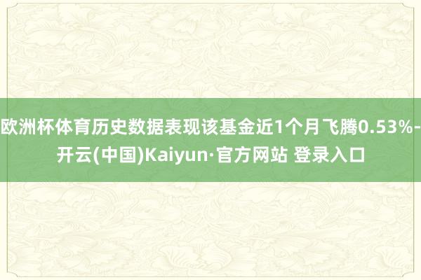 欧洲杯体育历史数据表现该基金近1个月飞腾0.53%-开云(中国)Kaiyun·官方网站 登录入口
