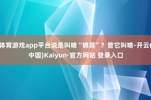 体育游戏app平台说是叫啥“锦簇”？管它叫啥-开云(中国)Kaiyun·官方网站 登录入口