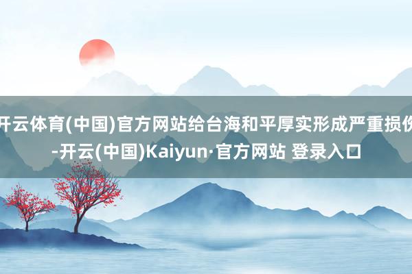 开云体育(中国)官方网站给台海和平厚实形成严重损伤-开云(中国)Kaiyun·官方网站 登录入口