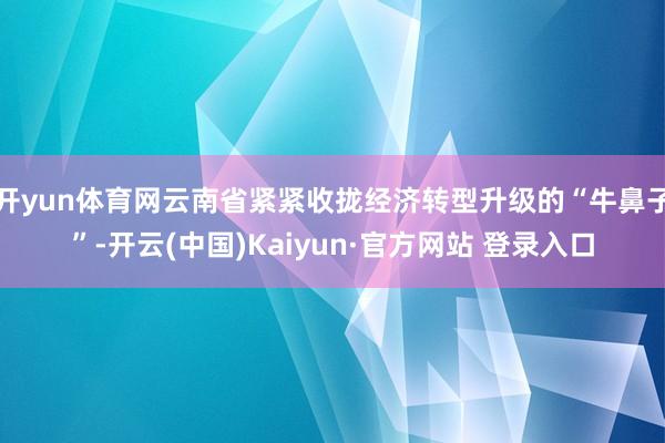 开yun体育网云南省紧紧收拢经济转型升级的“牛鼻子”-开云(中国)Kaiyun·官方网站 登录入口