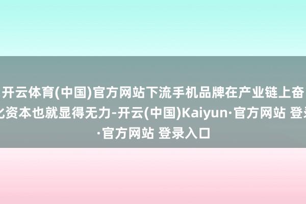 开云体育(中国)官方网站下流手机品牌在产业链上奋发优化资本也就显得无力-开云(中国)Kaiyun·官方网站 登录入口