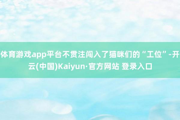 体育游戏app平台不贯注闯入了猫咪们的“工位”-开云(中国)Kaiyun·官方网站 登录入口