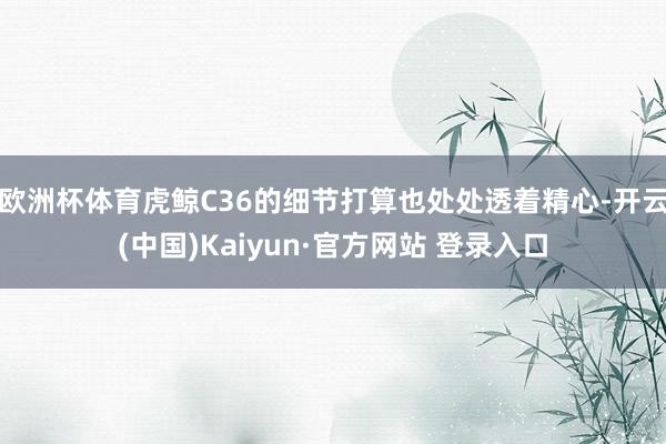 欧洲杯体育虎鲸C36的细节打算也处处透着精心-开云(中国)Kaiyun·官方网站 登录入口